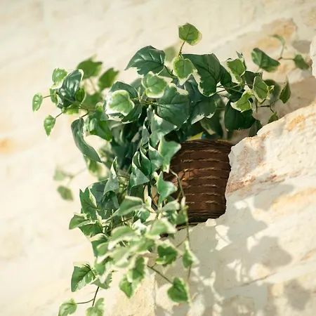 Trulli Di Nonno Carlo Сasa de vacaciones *